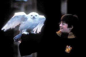 Daniel Radcliffe in a scene from Harry Potter and the Philosopher's Stone